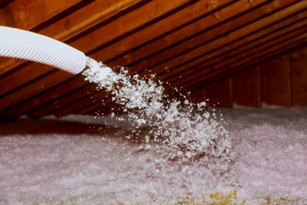 Best Specialty Insulation in Red Lake, AZ