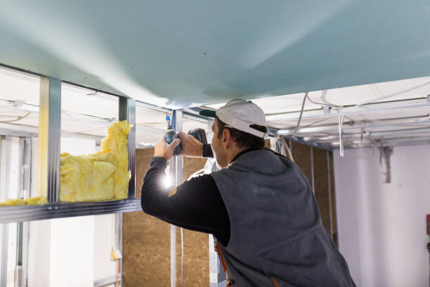 Best Insulation Installation Services in Red Lake, AZ