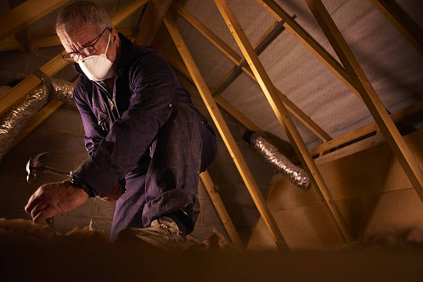 Best Types of Insulation in Red Lake, AZ